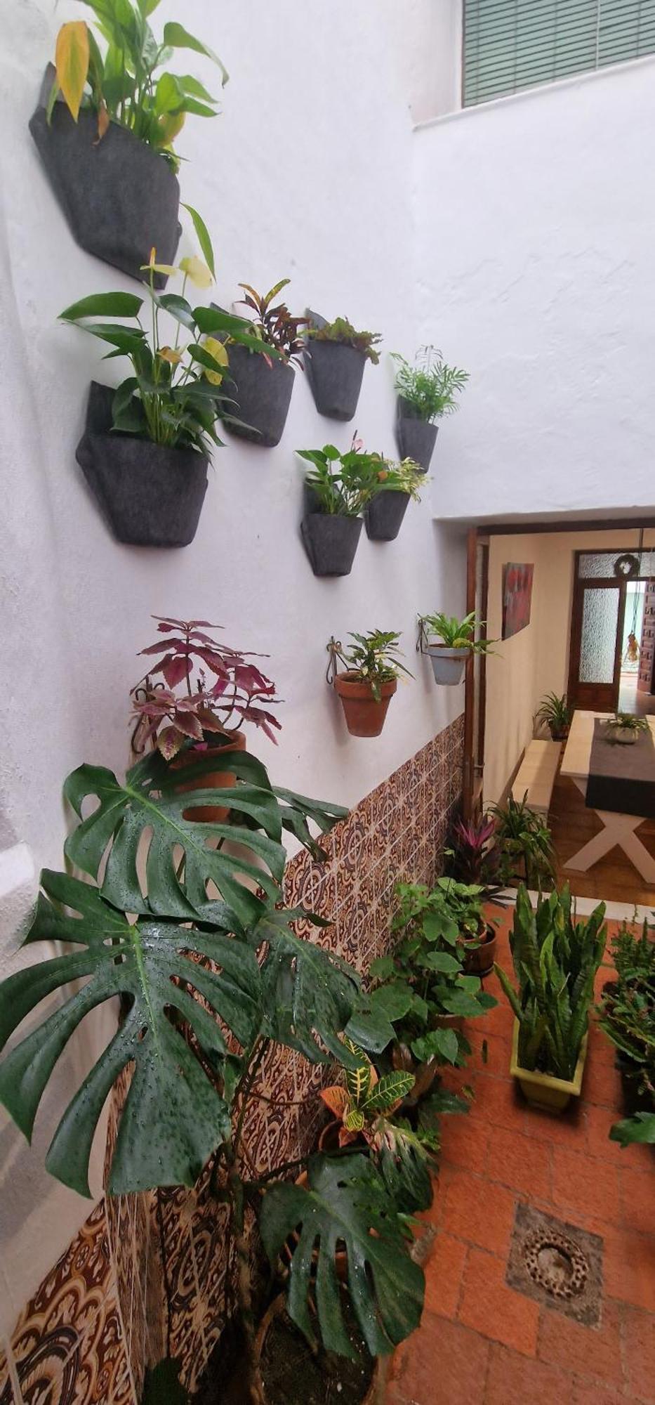La Casa De Abuela Habitaciones Con Bano Compartido En El Casco Historico De Frigiliana "Solo Adultos" Zewnętrze zdjęcie